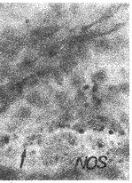 t42-6.gif (9009 �ֽ�)