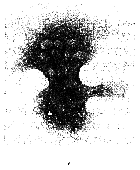 t28-1.gif (7524 �ֽ�)