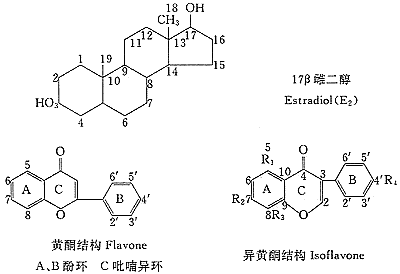 t48-1.gif (5899 �ֽ�)