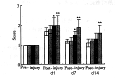 drjy4-25.gif (10452 bytes)