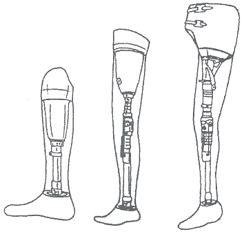 895-2.gif (9093 �ֽ�)