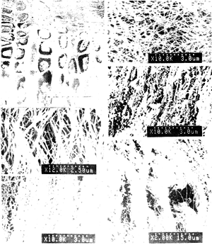 08.gif (64325 bytes)