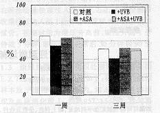 1104.gif (10120 bytes)