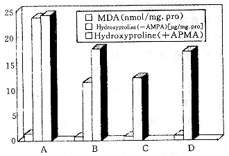 t2.gif (18664 bytes)
