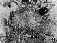 0120.gif (8228 bytes)