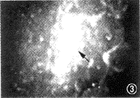 34-3.gif (6920 bytes)