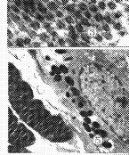 78-3.gif (8948 bytes)