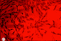 84-2.gif (3932 bytes)