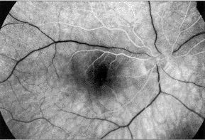 1101b.gif (17496 bytes)