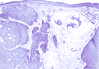 111-2.gif (6898 �ֽ�)