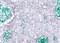 112-2.gif (8615 �ֽ�)