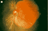 115-6.gif (4570 �ֽ�)