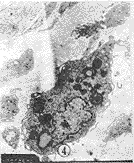 138-4.gif (5675 bytes)