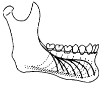 t87-1.gif (2558 bytes)