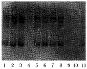 t92-1.gif (5724 bytes)