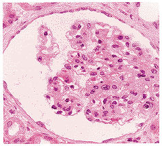 t182-3.gif (14400 bytes)