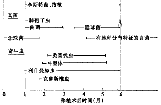 t176-2.gif (4717 bytes)