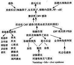 t177-1.gif (5446 bytes)