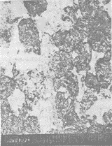 0301.gif (9660 �ֽ�)