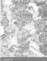 0302.gif (9454 �ֽ�)