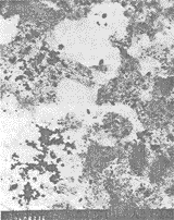 0303.gif (8901 �ֽ�)