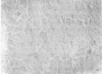 t9502.gif (18386 bytes)