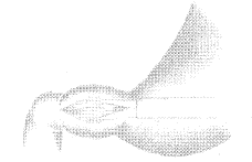 ������խ|�ʺ���|������|��ǻ����|Ӥ��|���|����/��ǻ����������С�������Էʺ���������խ//