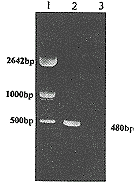 0701.gif (3871 bytes)