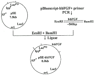 0703.gif (4133 bytes)