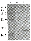 0705.gif (5503 bytes)