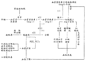 2701.gif (6051 bytes)
