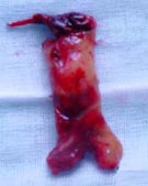 ���������������˨��//