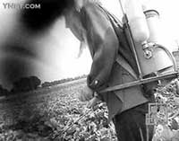 �����ж��߲�26����Ʒ���ʼ�����(��ͼ)//