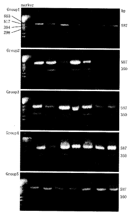t18401.gif (6448 bytes)