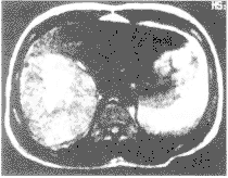 t28-1.gif (6470 bytes)