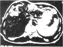 t28-2.gif (7227 bytes)