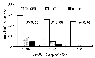 t42-1.gif (3609 bytes)
