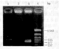 t180-1.gif (4317 �ֽ�)