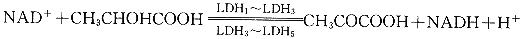 452-1.gif (4310 bytes)