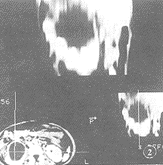 t4902.gif (7939 bytes)