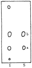 t699-6.gif (1852 bytes)