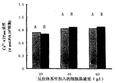 t53-1.gif (4227 bytes)