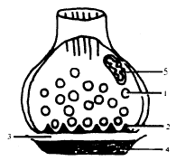 t211-1.gif (3682 �ֽ�)