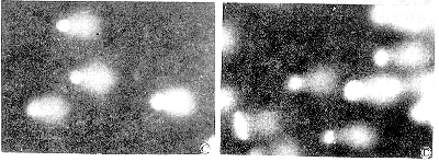 t1-1.gif (68138 bytes)