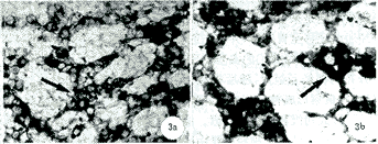 0903.gif (12396 �ֽ�)