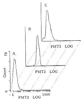 1901.gif (4030 �ֽ�)