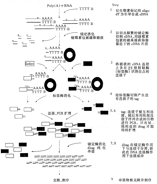 1601.gif (18631 �ֽ�)