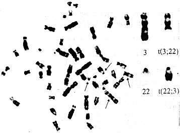 t08.gif (5755 bytes)