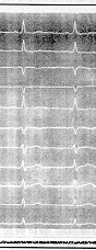 0301c.gif (11456 bytes)