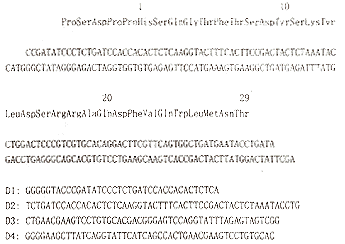 75-1.gif (8672 字节)